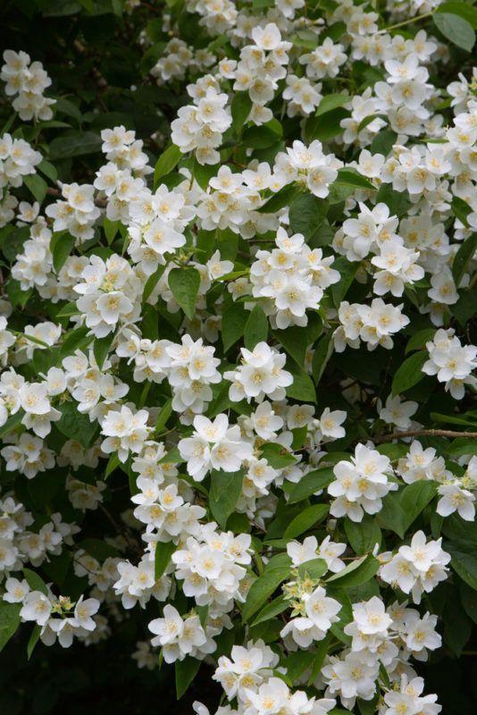 Professional floral arrangement in modern corporate setting